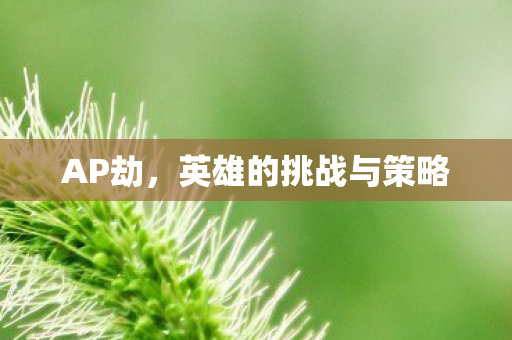 AP劫，英雄的挑战与策略