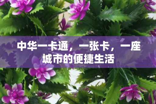 中华一卡通，一张卡，一座城市的便捷生活