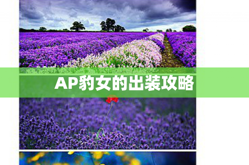 AP豹女的出装攻略
