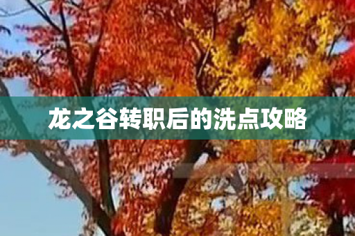 龙之谷转职后的洗点攻略