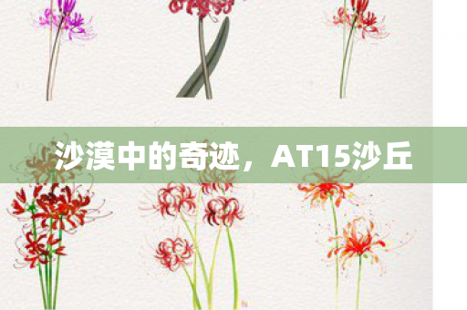 沙漠中的奇迹，AT15沙丘