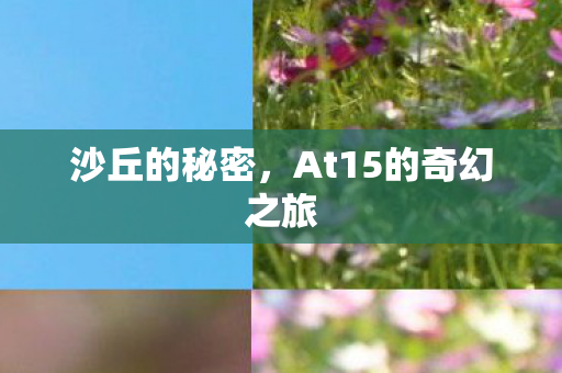 沙丘的秘密，At15的奇幻之旅