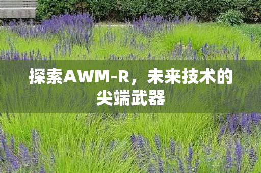 探索AWM-R，未来技术的尖端武器