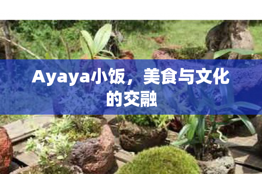 Ayaya小饭，美食与文化的交融