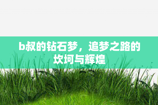 b叔的钻石梦，追梦之路的坎坷与辉煌