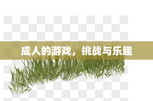 成人的游戏，挑战与乐趣