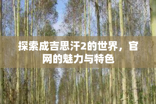 探索成吉思汗2的世界，官网的魅力与特色