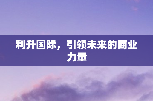 利升国际,引领未来的商业力量 利升国际,引领未来的商业力量