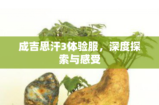 成吉思汗3体验服，深度探索与感受