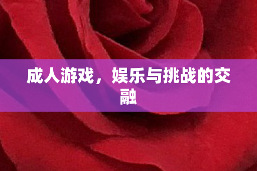 成人游戏,娱乐与挑战的交融 成人游戏,娱乐与挑战的交融