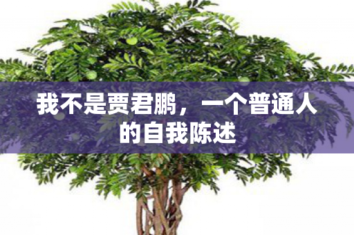 我不是贾君鹏，一个普通人的自我陈述