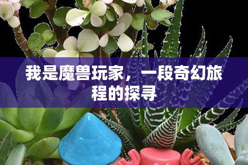 我是魔兽玩家,一段奇幻旅程的探寻 我是魔兽玩家,一段奇幻旅程的探寻