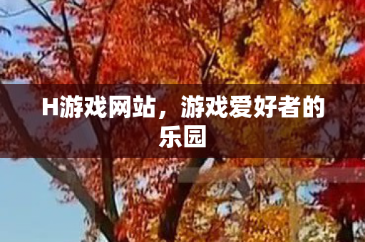 H游戏网站，游戏爱好者的乐园