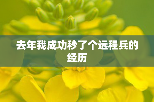 去年我成功秒了个远程兵的经历