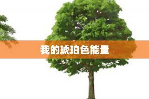 我的琥珀色能量