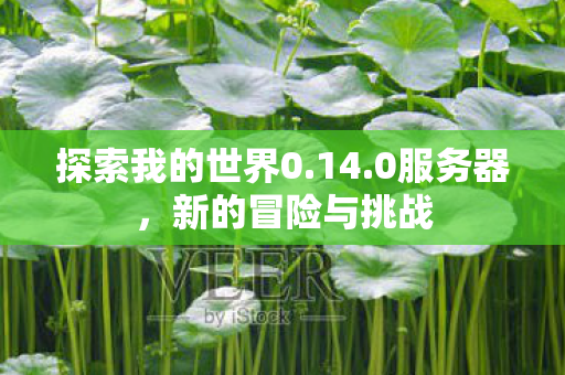 探索我的世界0.14.0服务器,新的冒险与挑战 探索我的世界0.14.0服务器,新的冒险与挑战