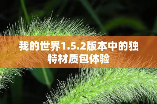 我的世界1.5.2版本中的独特材质包体验