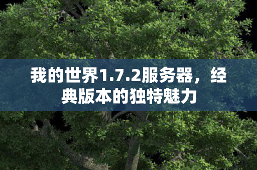我的世界1.7.2服务器,经典版本的独特魅力 我的世界1.7.2服务器,经典版本的独特魅力