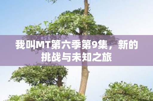 我叫MT第六季第9集，新的挑战与未知之旅