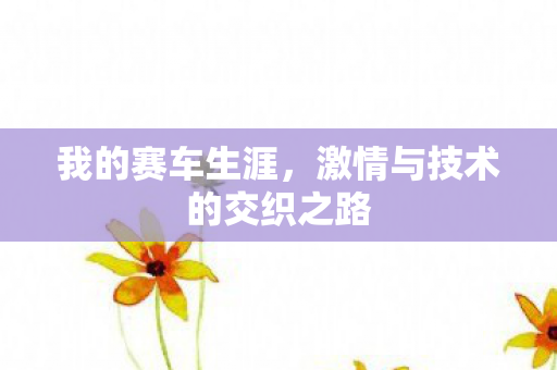 我的赛车生涯,激情与技术的交织之路 我的赛车生涯,激情与技术的交织之路