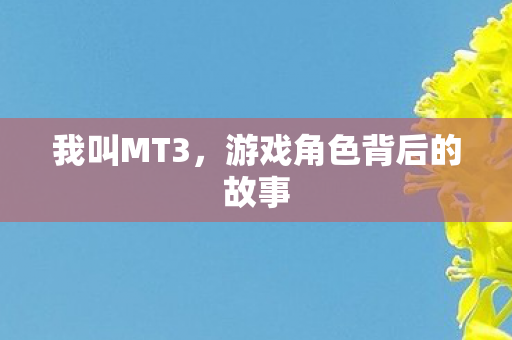 我叫MT3，游戏角色背后的故事