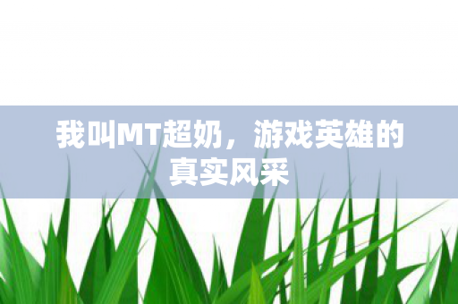 我叫MT超奶,游戏英雄的真实风采 我叫MT超奶,游戏英雄的真实风采