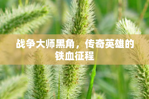 战争大师黑角，传奇英雄的铁血征程