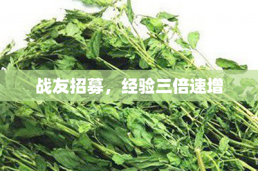 战友招募，经验三倍速增