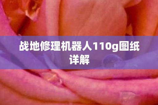 战地修理机器人110g图纸详解