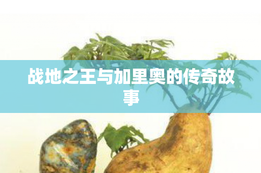 战地之王与加里奥的传奇故事 战地之王与加里奥的传奇故事