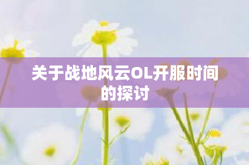 关于战地风云OL开服时间的探讨 关于战地风云OL开服时间的探讨