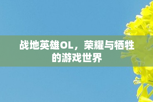 战地英雄OL，荣耀与牺牲的游戏世界