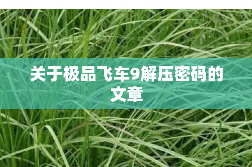 关于极品飞车9解压密码的文章