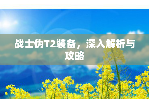 战士伪T2装备，深入解析与攻略