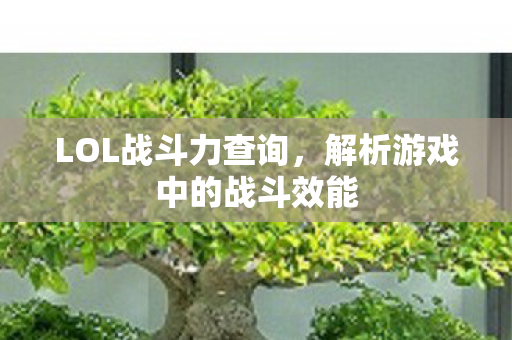 LOL战斗力查询，解析游戏中的战斗效能