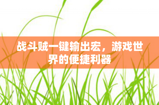 战斗贼一键输出宏,游戏世界的便捷利器 战斗贼一键输出宏,游戏世界的便捷利器