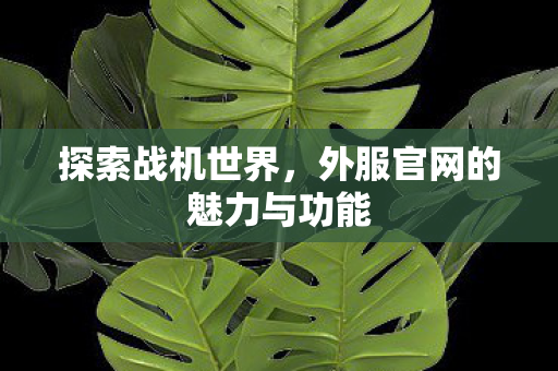 探索战机世界，外服官网的魅力与功能