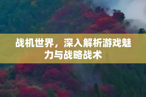 战机世界,深入解析游戏魅力与战略战术 战机世界,深入解析游戏魅力与战略战术