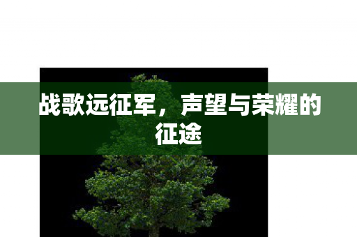 战歌远征军，声望与荣耀的征途