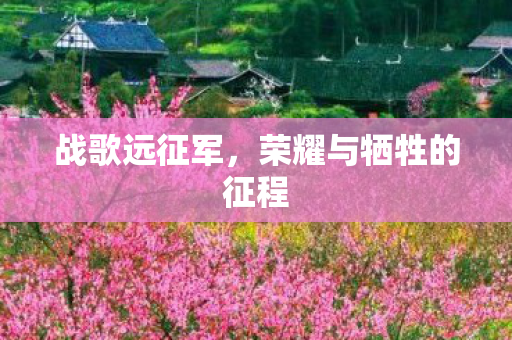 战歌远征军，荣耀与牺牲的征程