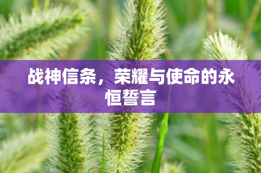 战神信条，荣耀与使命的永恒誓言