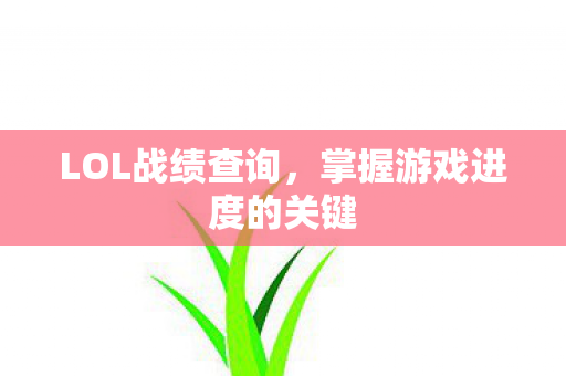 LOL战绩查询，掌握游戏进度的关键