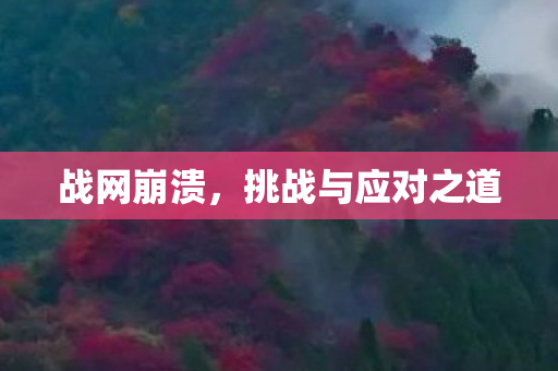 战网崩溃,挑战与应对之道 战网崩溃,挑战与应对之道