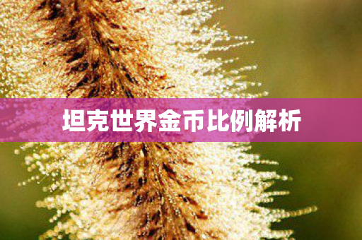 坦克世界金币比例解析