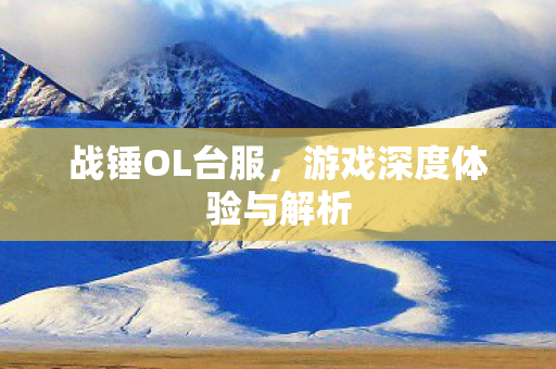 战锤OL台服，游戏深度体验与解析