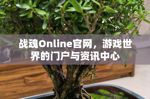 战魂Online官网，游戏世界的门户与资讯中心