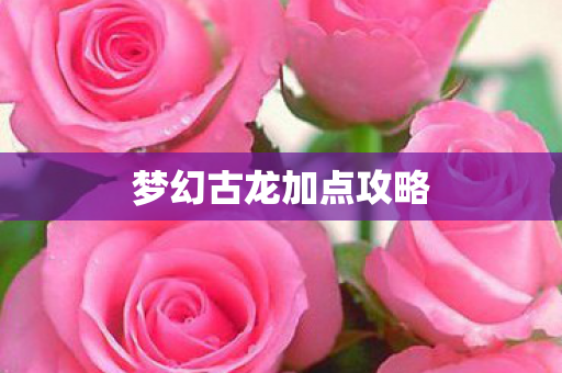 梦幻古龙加点攻略
