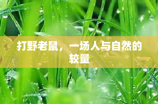 打野老鼠，一场人与自然的较量