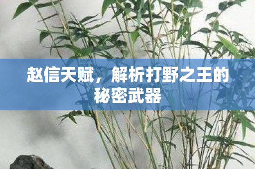 赵信天赋,解析打野之王的秘密武器 赵信天赋,解析打野之王的秘密武器