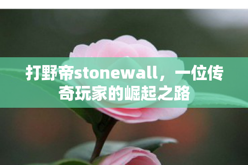 打野帝stonewall，一位传奇玩家的崛起之路